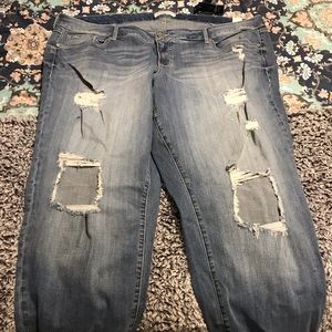 Brand New Women’s Torrid Jeans